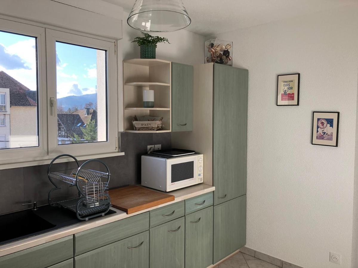 Au Pied Des Vosges Apartment Оберне Екстериор снимка